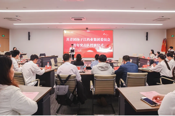 共?團揚?江藥業(yè)集團委員會?年突擊隊授旗儀式圓滿舉?